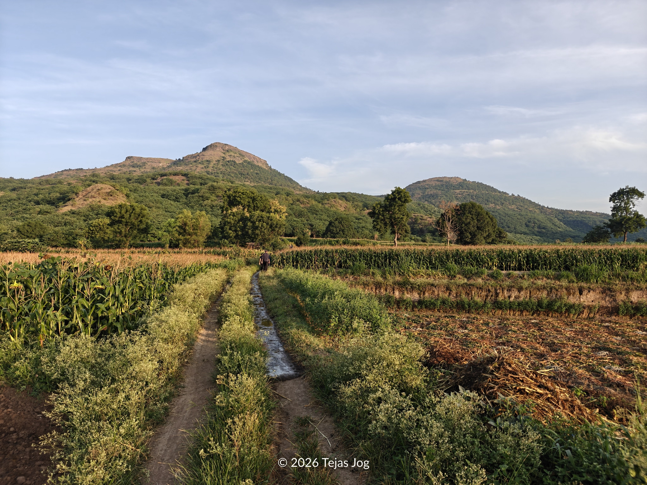 Pedka Fort
