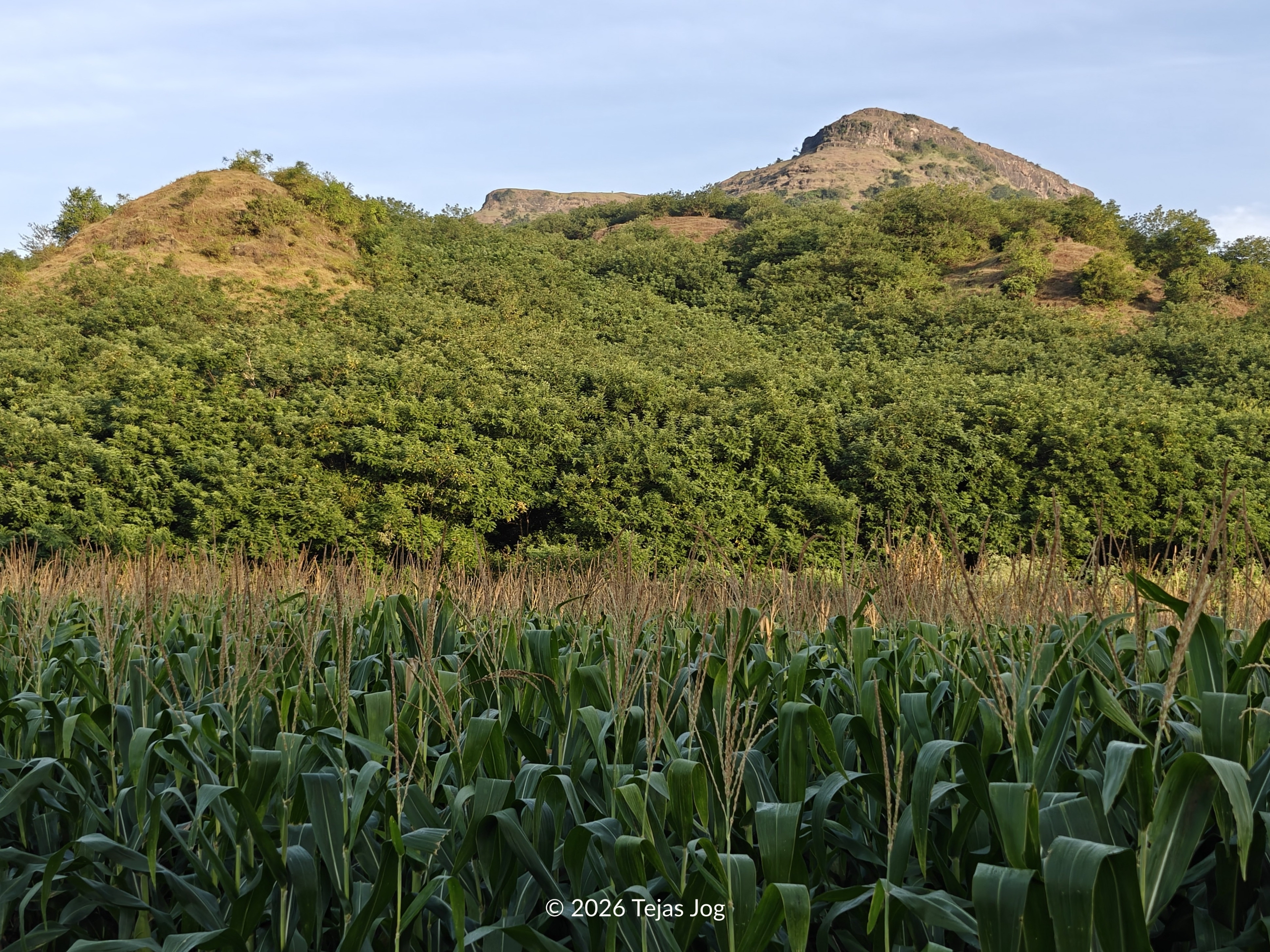 Pedka Fort