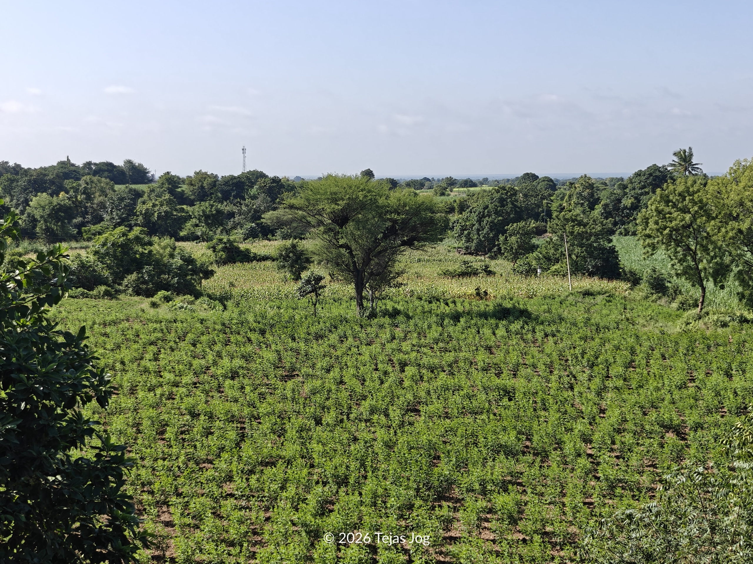 Pedka Fort